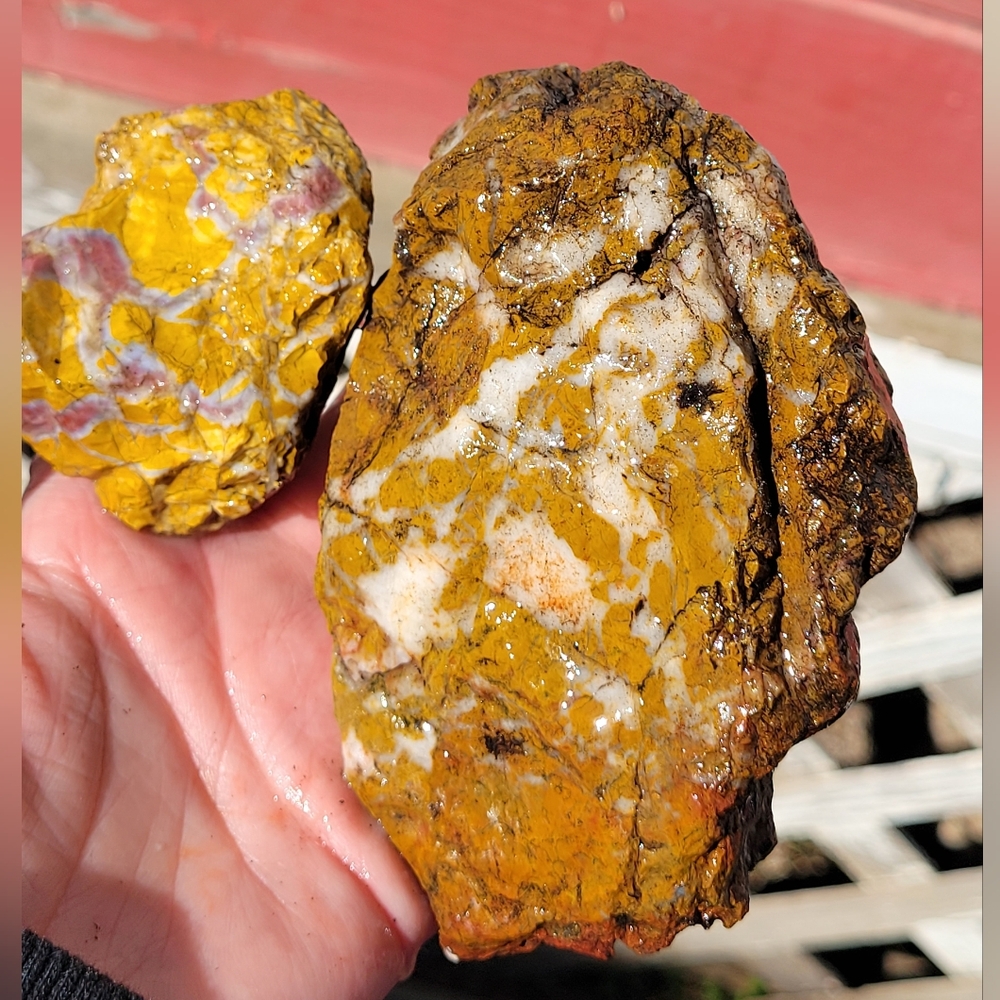 Yellow and White Rough Natural Jasper Bundle